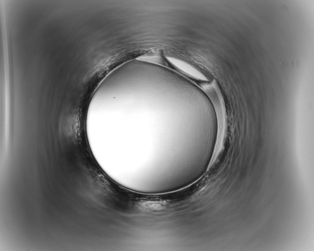 X0000086970595200704301259