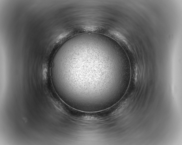 X0000086970596200704301259