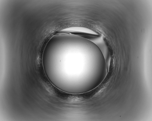 X0000086970597200704301259