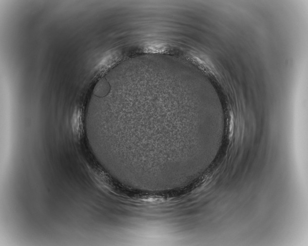 X0000086970598200704301259