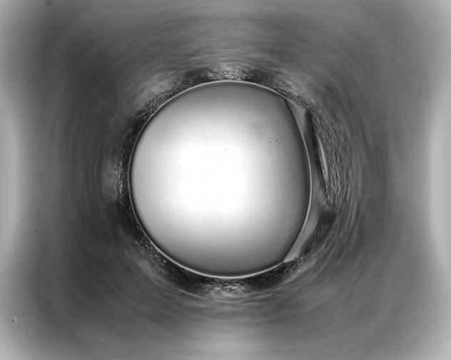 X0000086970599200704301259