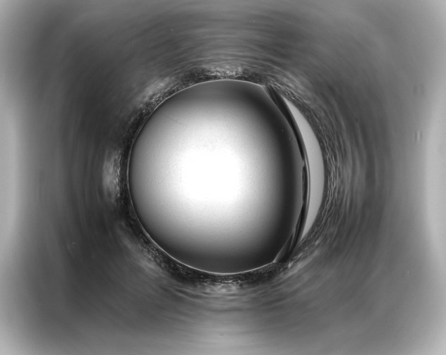 X0000086970600200704301259