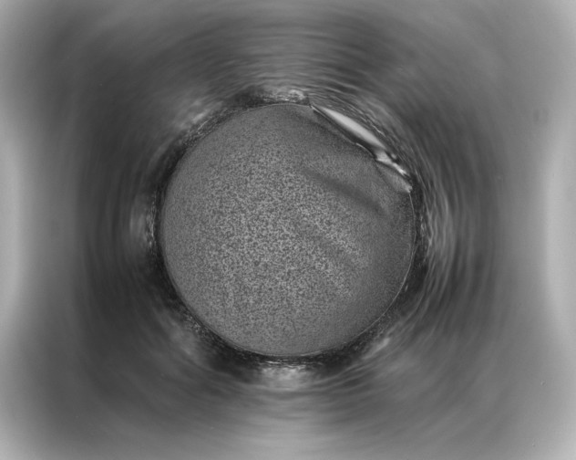 X0000086970602200704301259