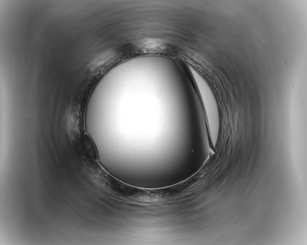 X0000086970604200704301259