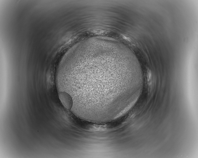 X0000086970606200704301259