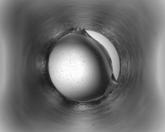 X0000086970608200704301259