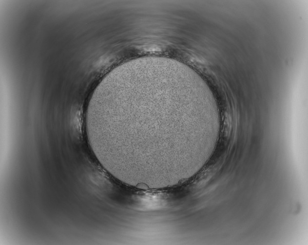 X0000086970612200704301259