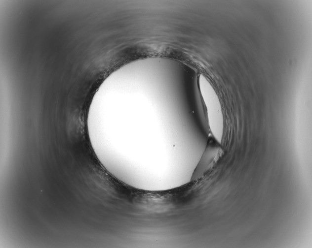 X0000086970613200704301259