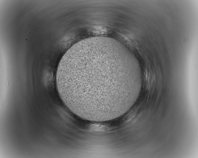 X0000086970614200704301259