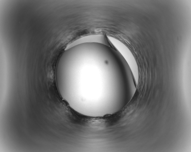 X0000086970617200704301259