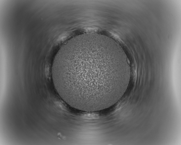 X0000086970619200704301259