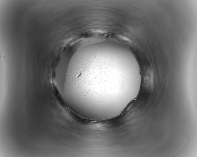 X0000086970620200704301259