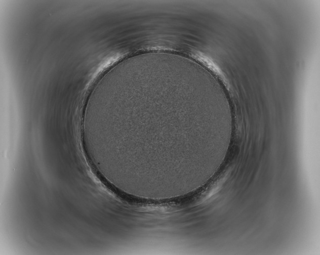 X0000086970625200704301258