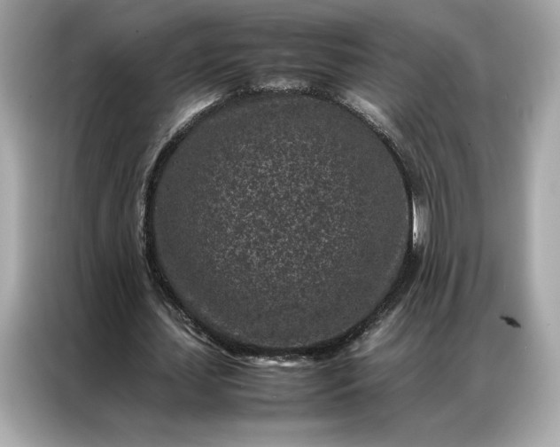 X0000086970627200704301258