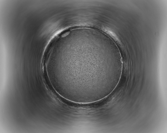 X0000086970628200704301258