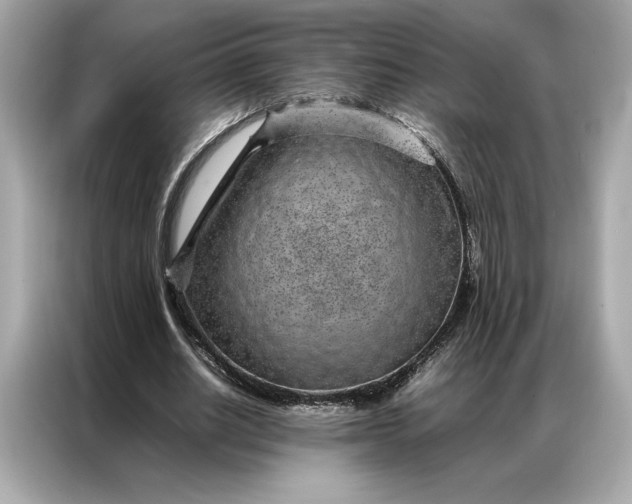 X0000086970630200704301258