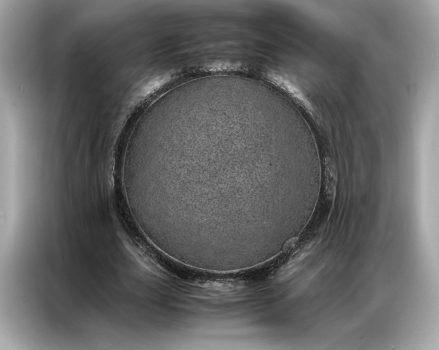 X0000086970631200704301258