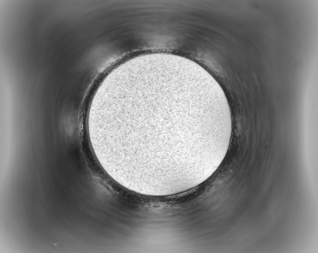 X0000086970632200704301258