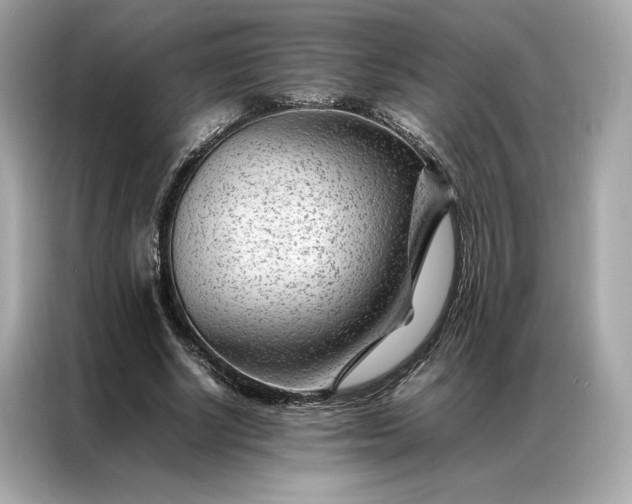 X0000086970634200704301258