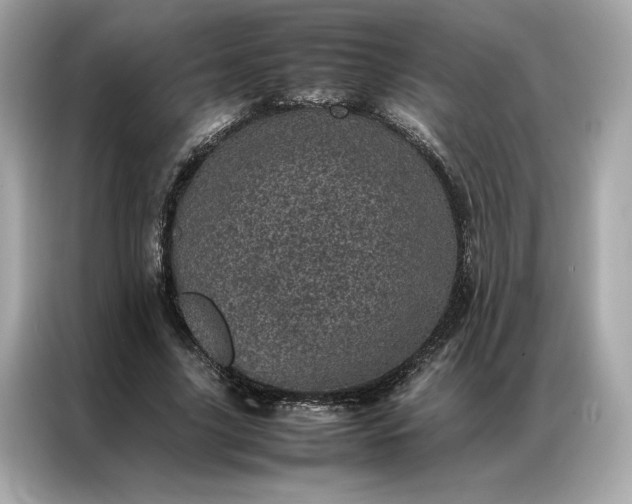 X0000086970635200704301258