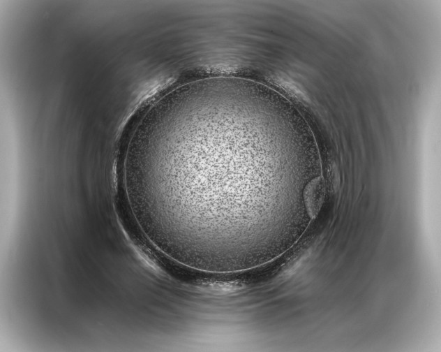 X0000086970638200704301258