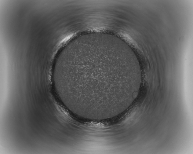 X0000086970640200704301258