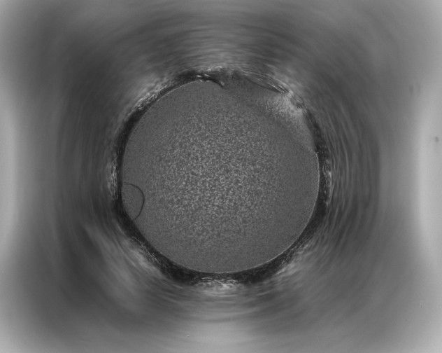 X0000086970642200704301258