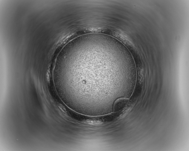 X0000086970644200704301258