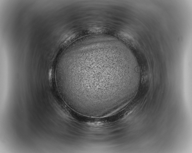 X0000086970647200704301258