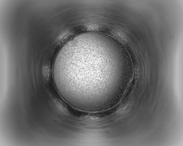 X0000086970648200704301258