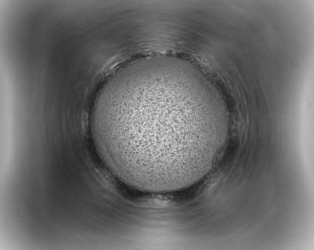 X0000086970656200704301258