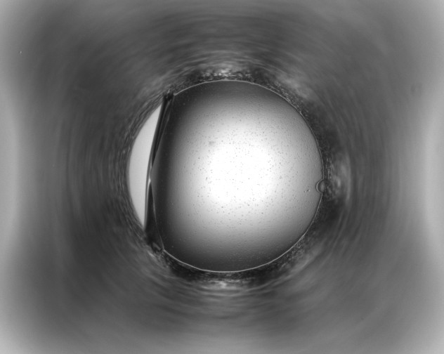 X0000086970657200704301258