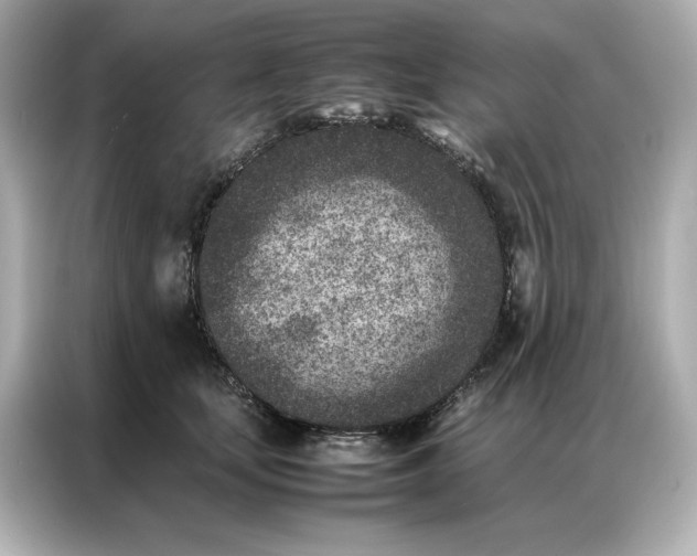 X0000086970659200704301258