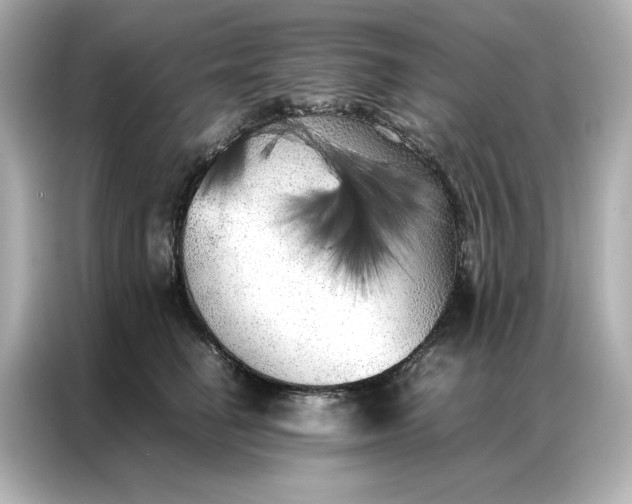 X0000086970662200704301258