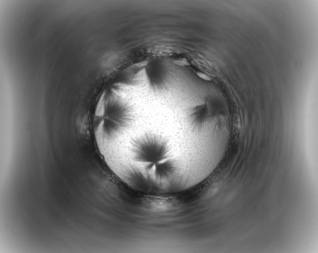 X0000086970663200704301258