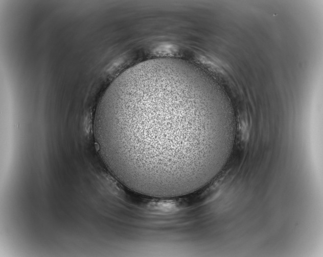 X0000086970665200704301259