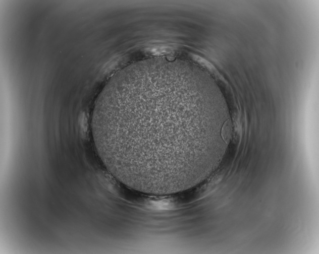 X0000086970667200704301259