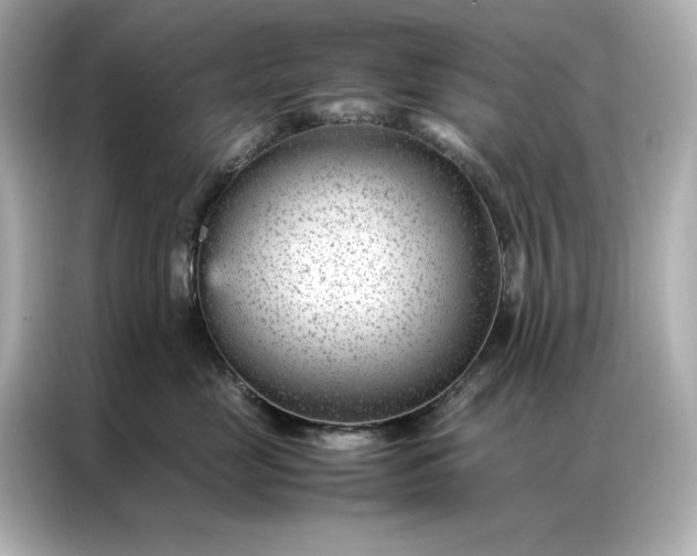 X0000086970669200704301259