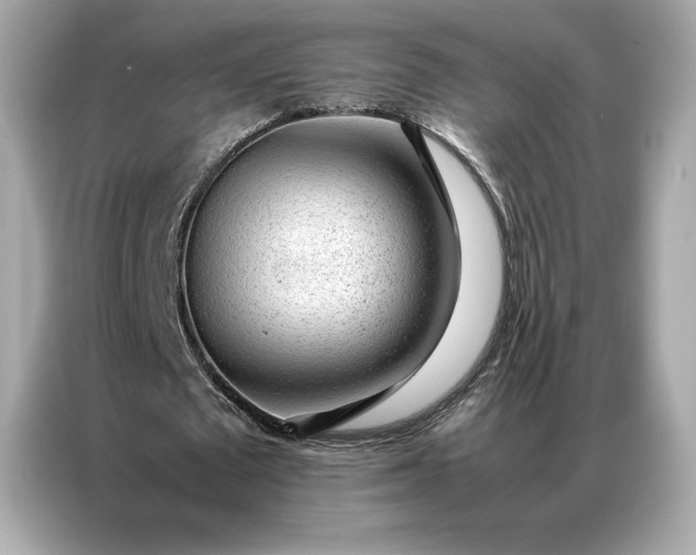 X0000086970673200704301258