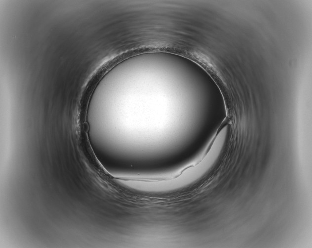 X0000086970676200704301258