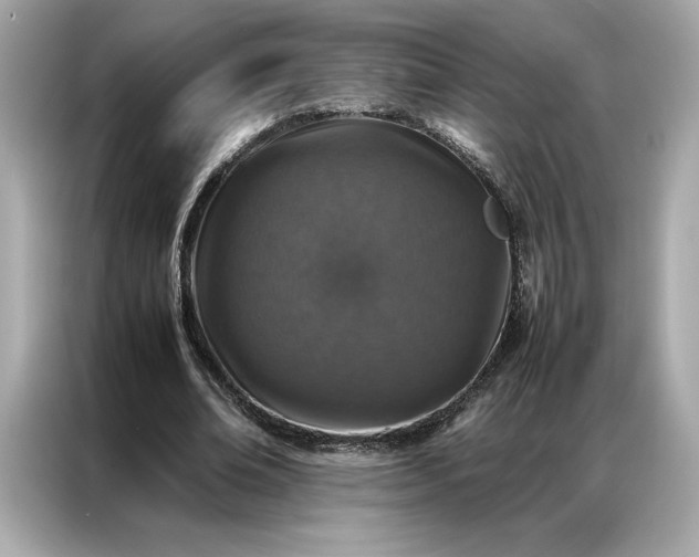 X0000086970678200704301258