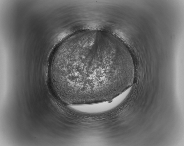 X0000086970679200704301258