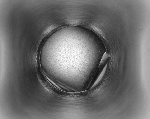 X0000086970682200704301258