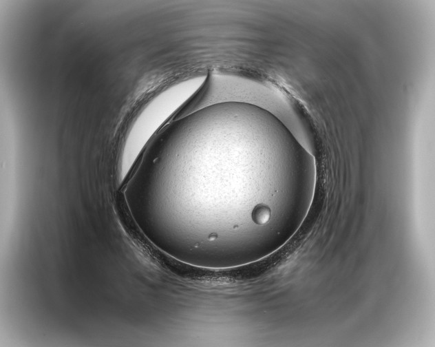 X0000086970685200704301258