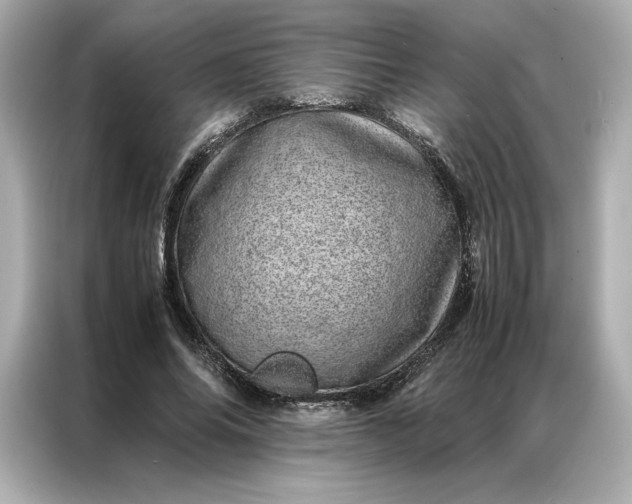 X0000086970686200704301258