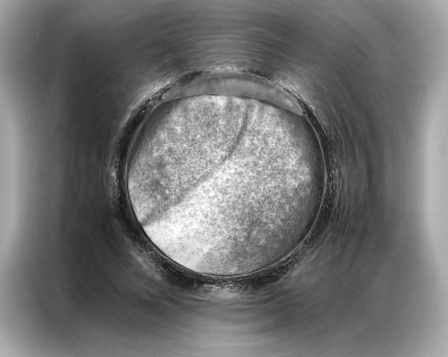 X0000086970688200704301258