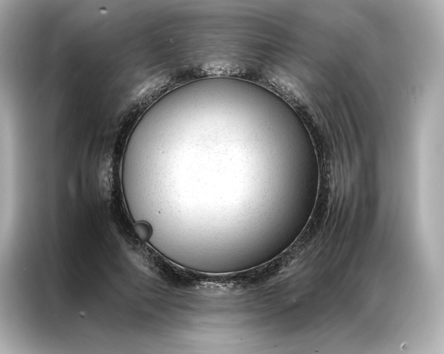 X0000086970690200704301258