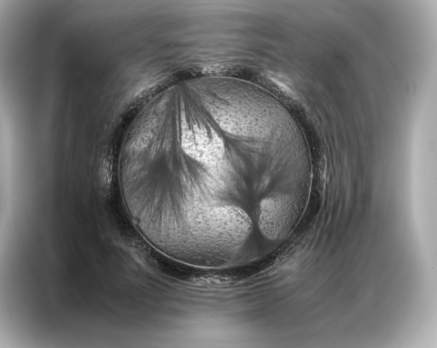 X0000086970691200704301258