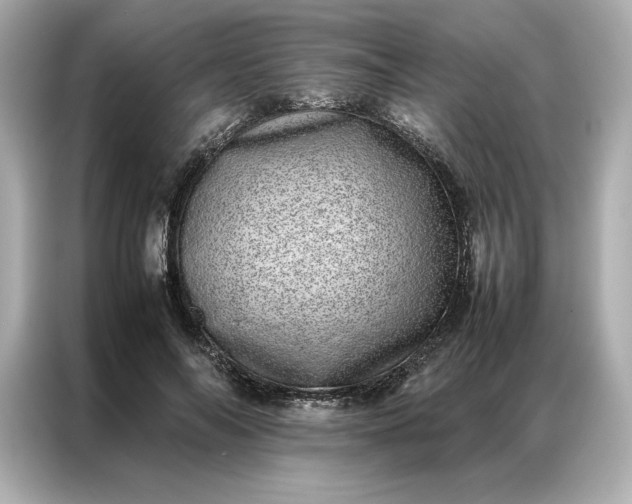 X0000086970694200704301258