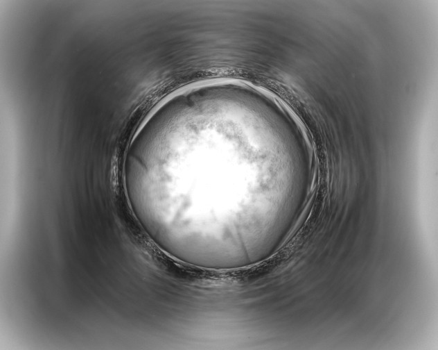 X0000086970696200704301258